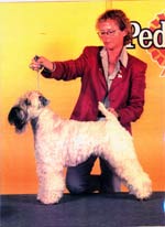WHEATEN REBEL’S